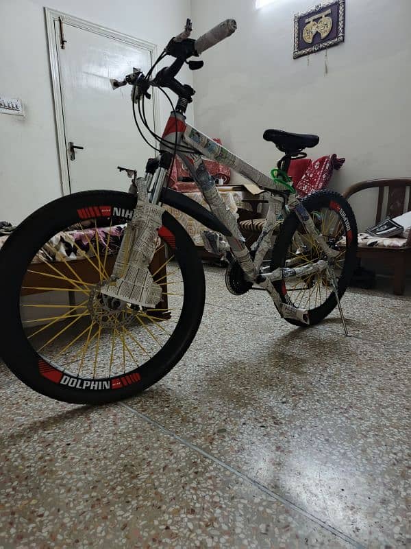 Dolphin river bicycle 3