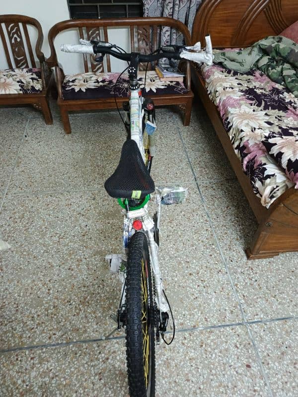 Dolphin river bicycle 4
