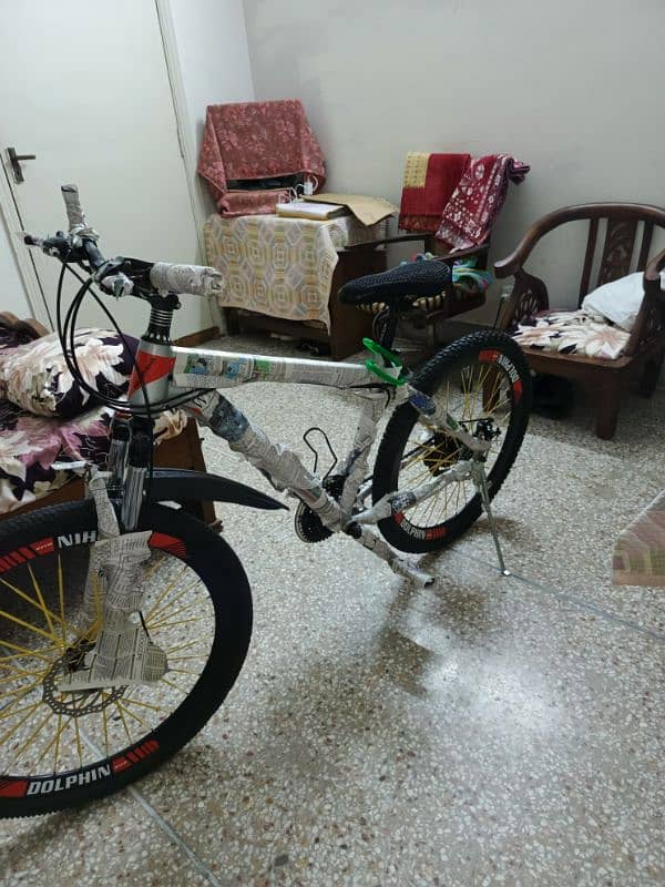 Dolphin river bicycle 5