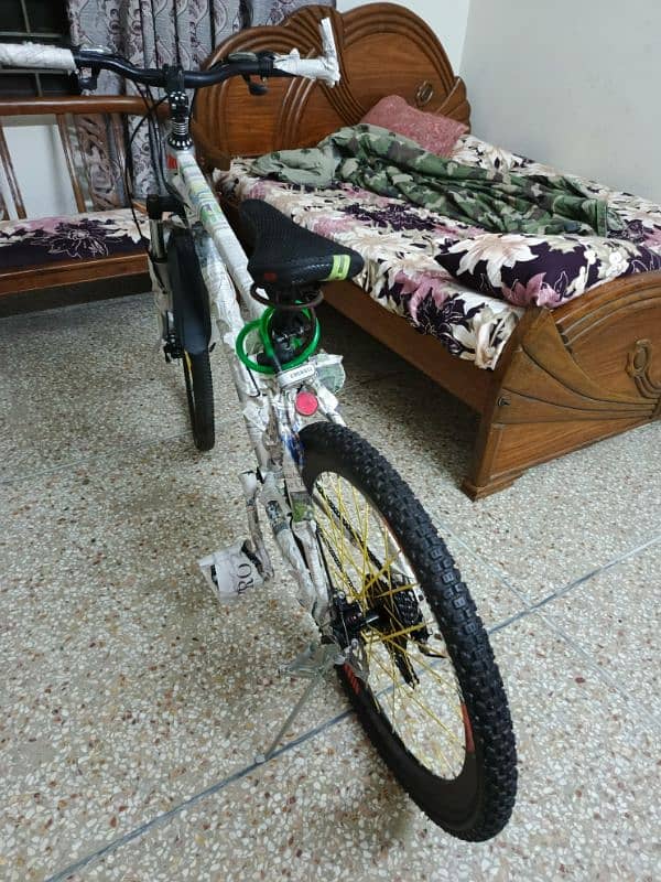 Dolphin river bicycle 6