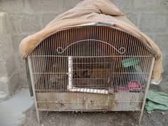 Hens Cages Bht Acha He Murgion k Leye Best he