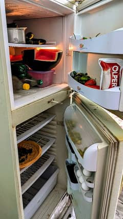 PEL refrigerator full size working condition