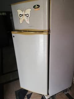 Daw Lance fridge