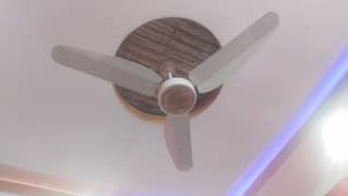 Parwaz
