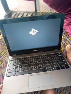 Acer