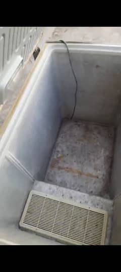 waves deep freezer
