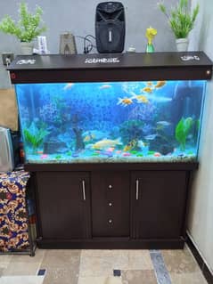 fish aquarium new