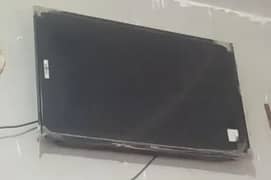 Haier