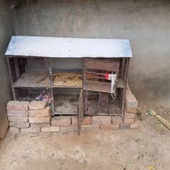 chicken
