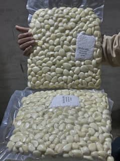 Garlic
