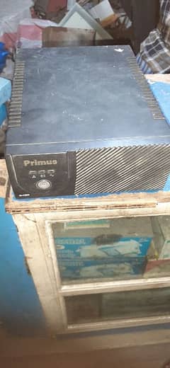primus
