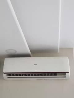 Haier