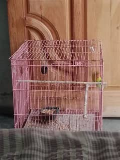 2×2 cage for sale
