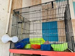 Bird Cage