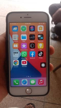 iPhone