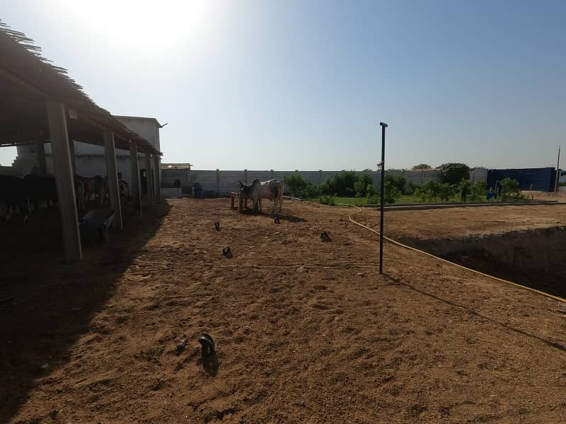 Farm houses Lands 1000 SQ YARD JUST 12 LAC A golden opportunity for you A prime location Land Best For Cattle Farm Goat Farm Dairy Farm Farm House 11