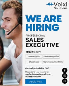 Sales Executive
