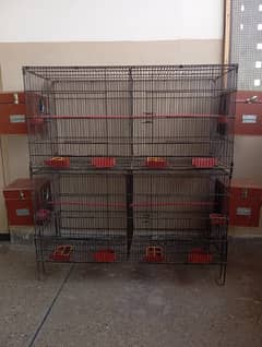 Master Cage