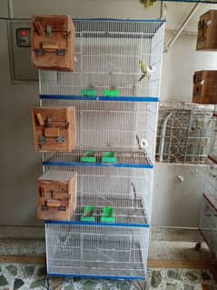 Cage