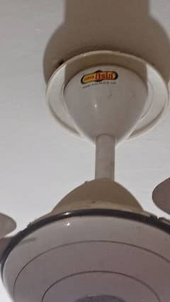 Fan 220 VAC