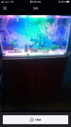 3 feet aquarium