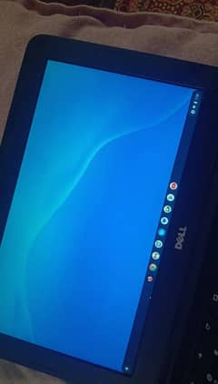 dell Chromebook 11 (3180)