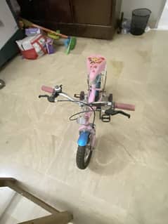Princess bycycle in good condition