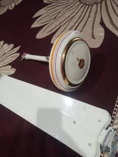 New vairinng copar
