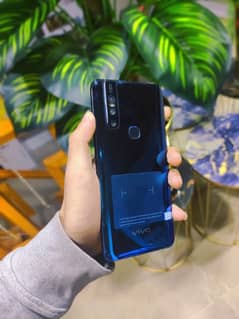 vivo