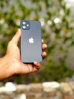 iPhone12