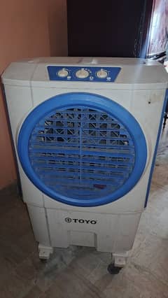 Toyo