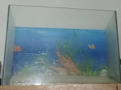 Aquarium