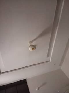 celling fans