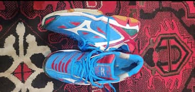badminton
