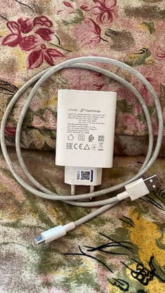 Vivo Charger