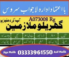 House Maid, Babysitter, Patient Care, Nurse Staff, Driver, Maids, Cook
