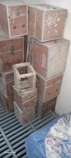 14 box hain