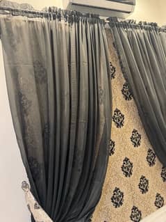 curtains