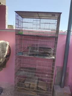 7 Feet Cage