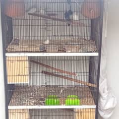 4 box in cage