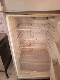 frige