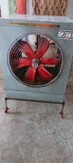 lahori cooler