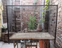 cage pinjara for sale