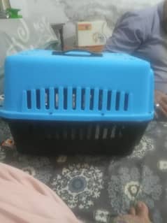 cat house for sale location bhawalpur wale he rabta kre