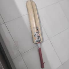 Bat