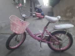 Girls Bicycle