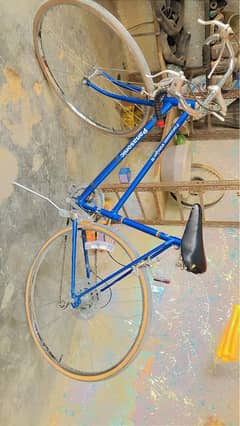 Cycle