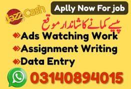 Online Jobs, Assignment Writing, Data Entry, Typing job, Part Time Job