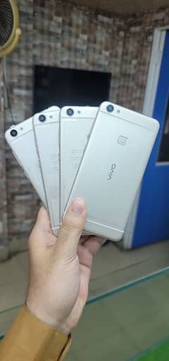 vivo