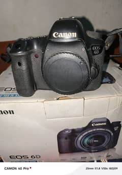 6D BODY FOR SALE IN LOW PRICE WITH BOX